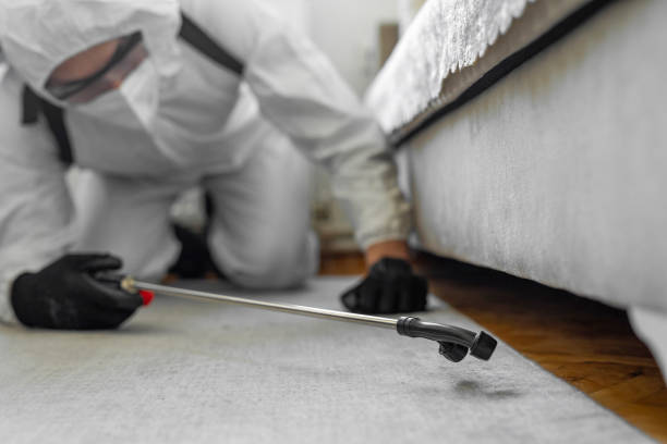 Professional Bed Bug Control technician working in Passaic County County, NJ